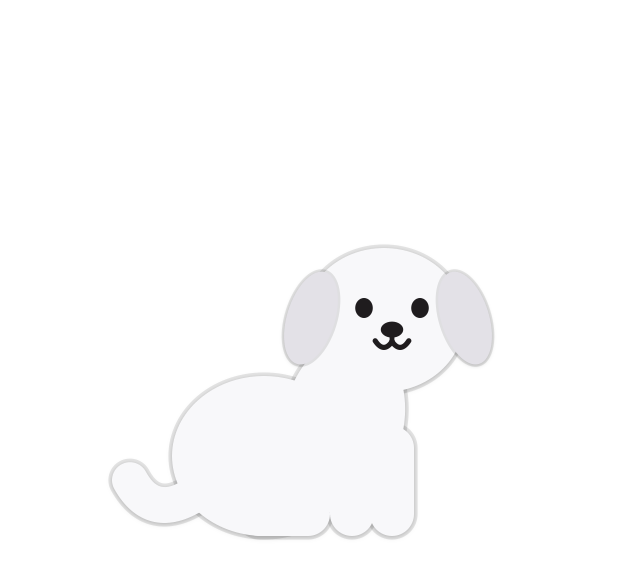 Bisqit, a small white puppy, sitting